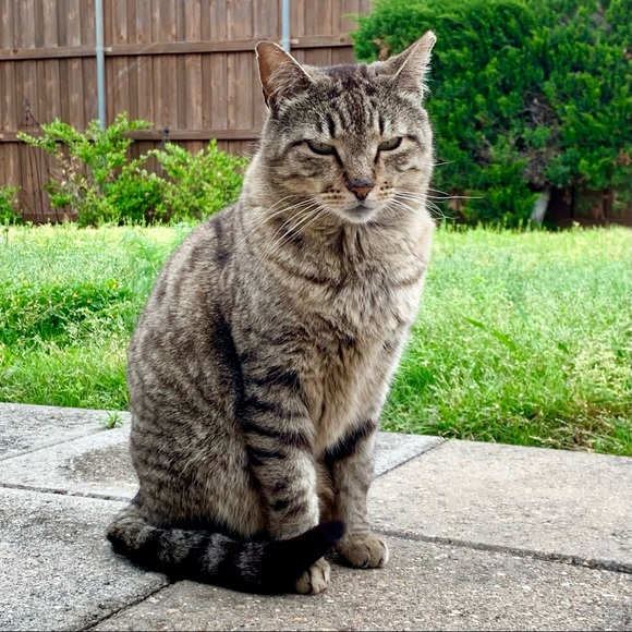 Stripes & Baby - Picture 6 of 8